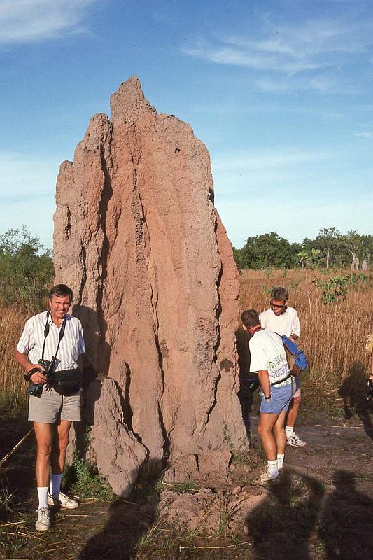 WT 0400 099-28 Australia.jpg